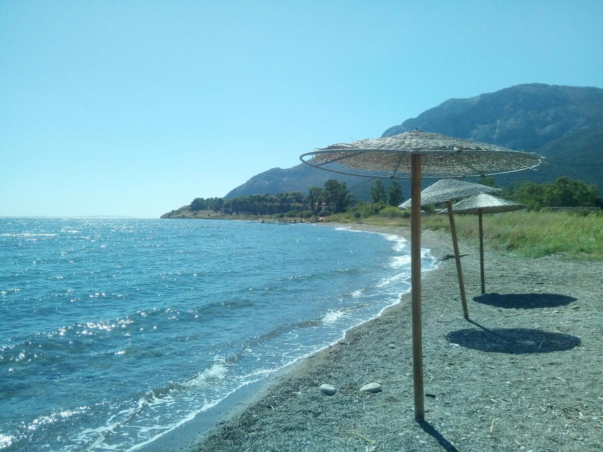 Villa The Platanus Tree Kato Vasiliki Exterior foto